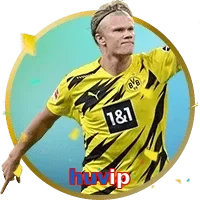 huvip