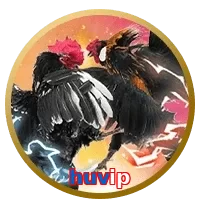 huvip