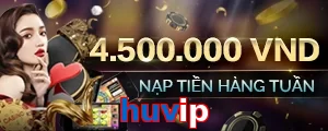 huvip