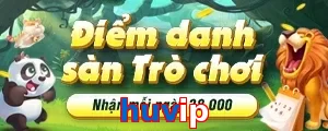 huvip