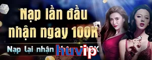 huvip
