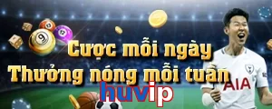 huvip